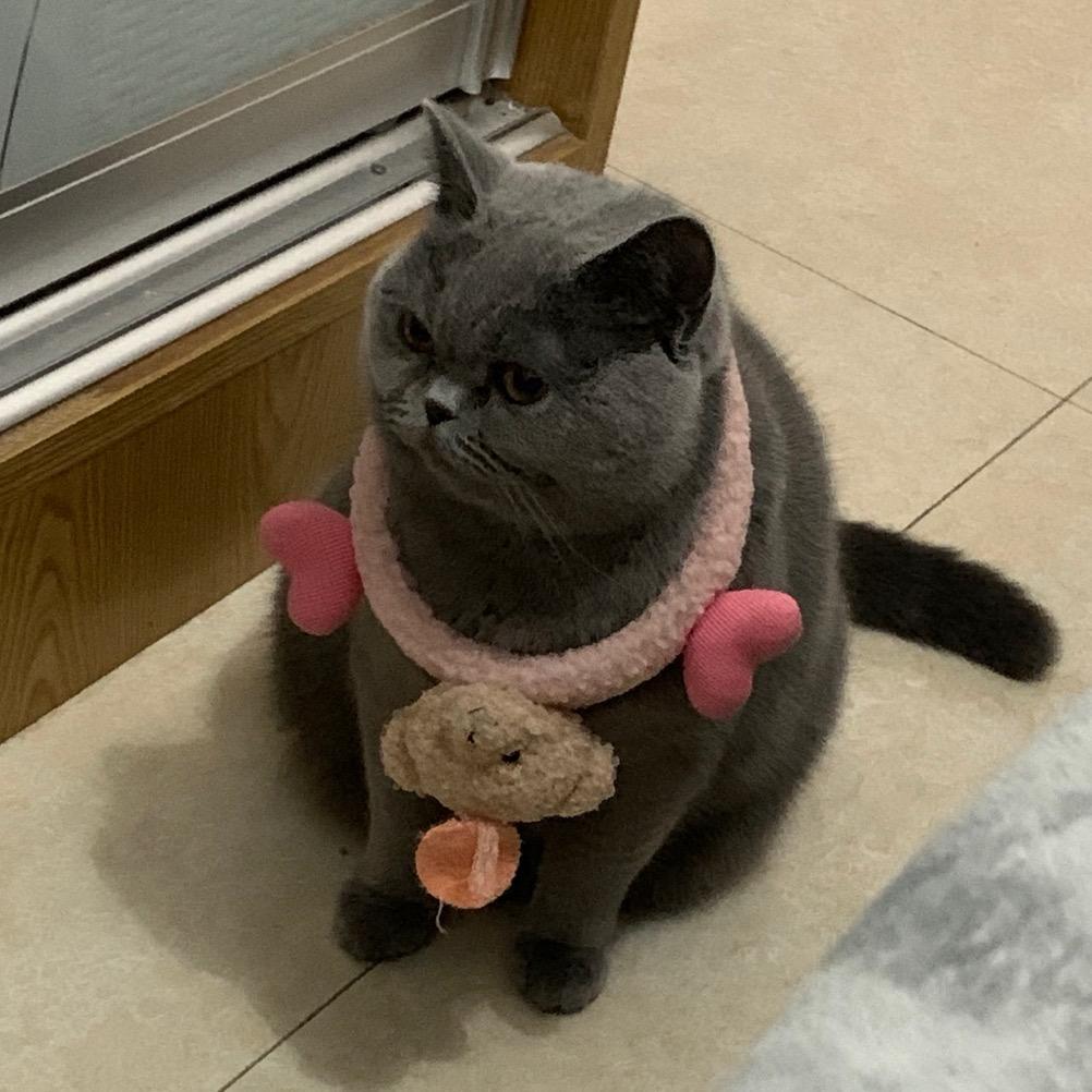 孙悟空是个妹妹