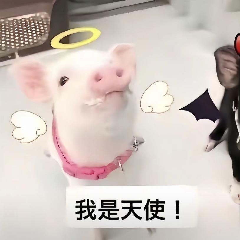 안 양