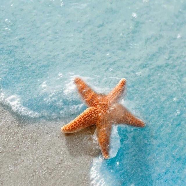 恒一轩