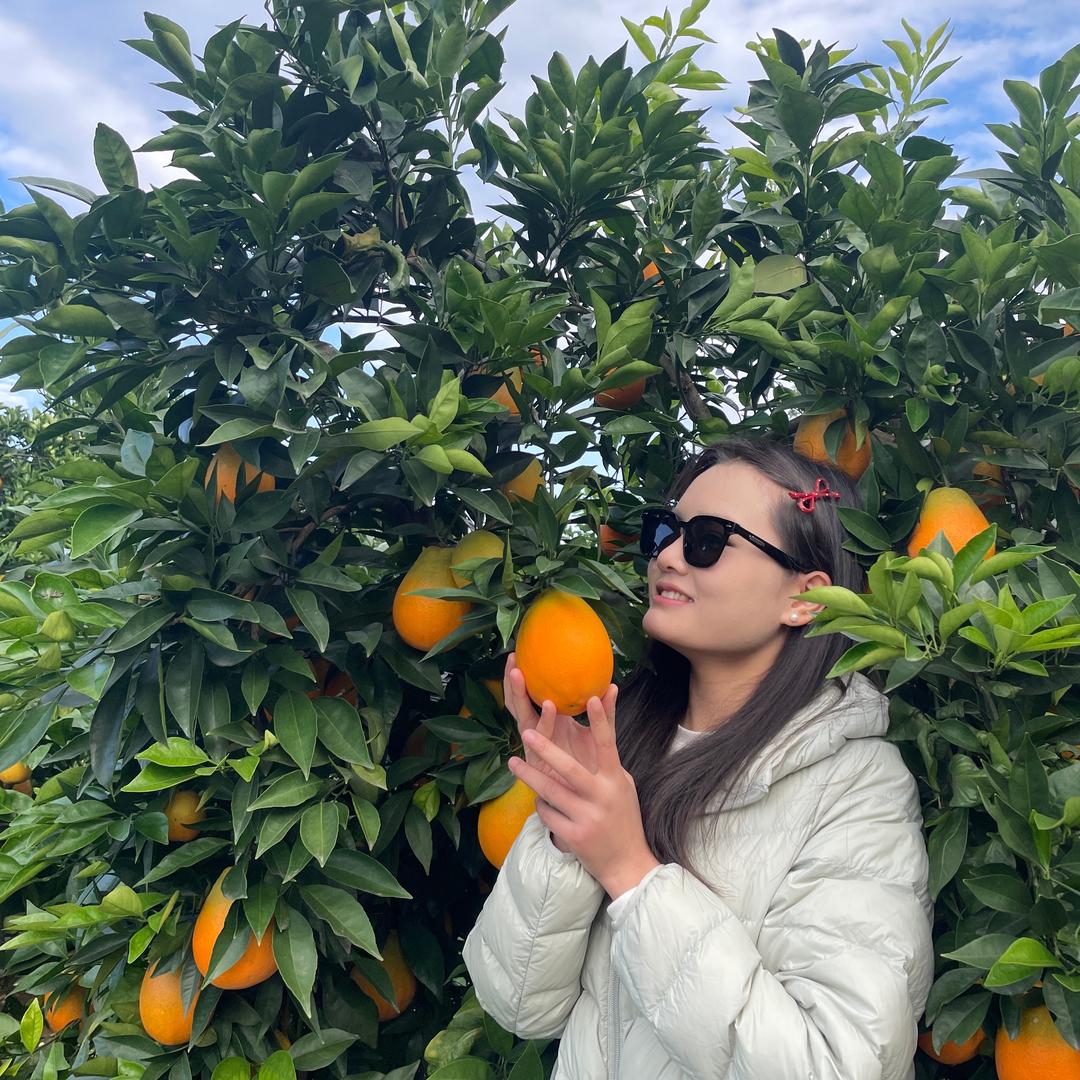 小文家的奉节脐橙