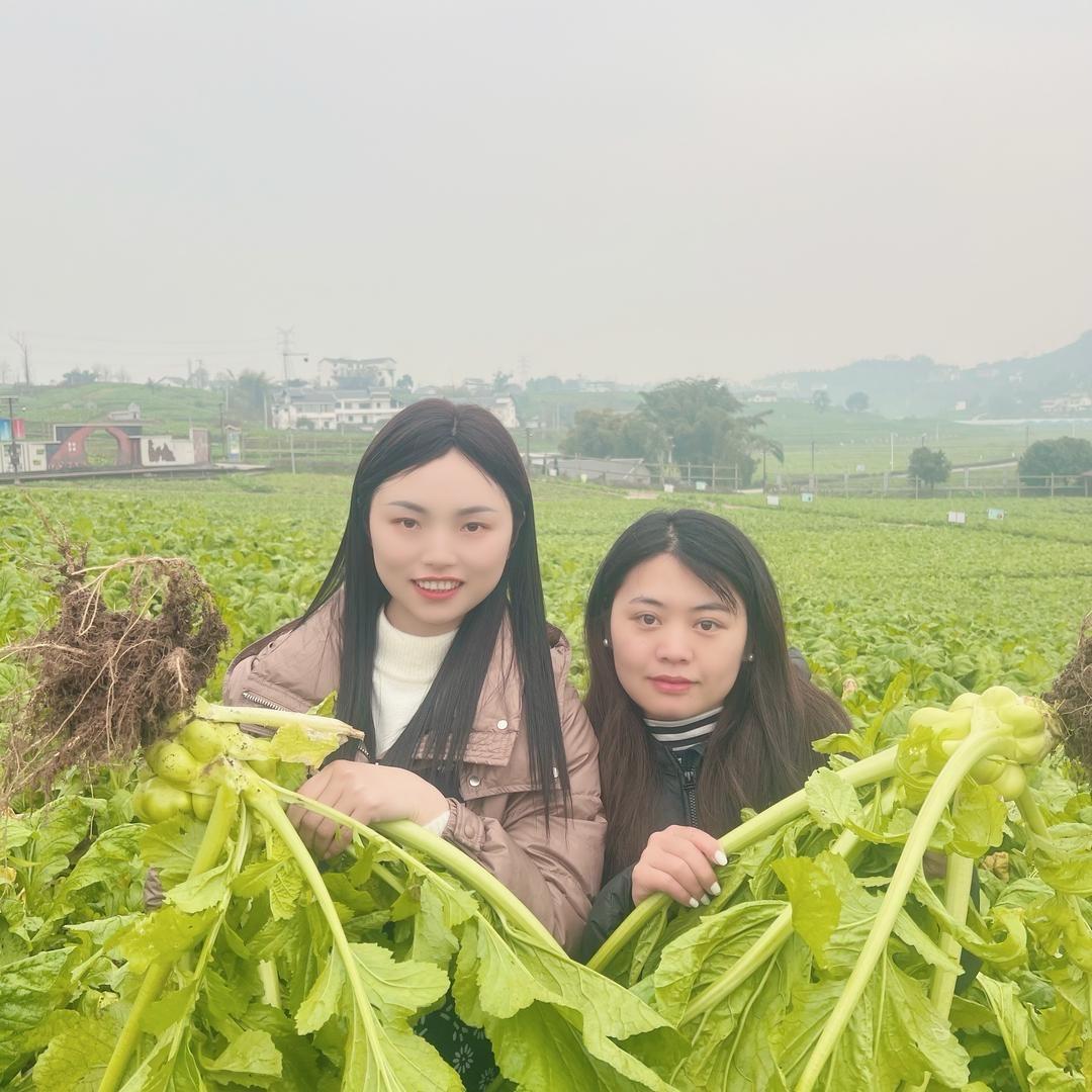 彬格优选