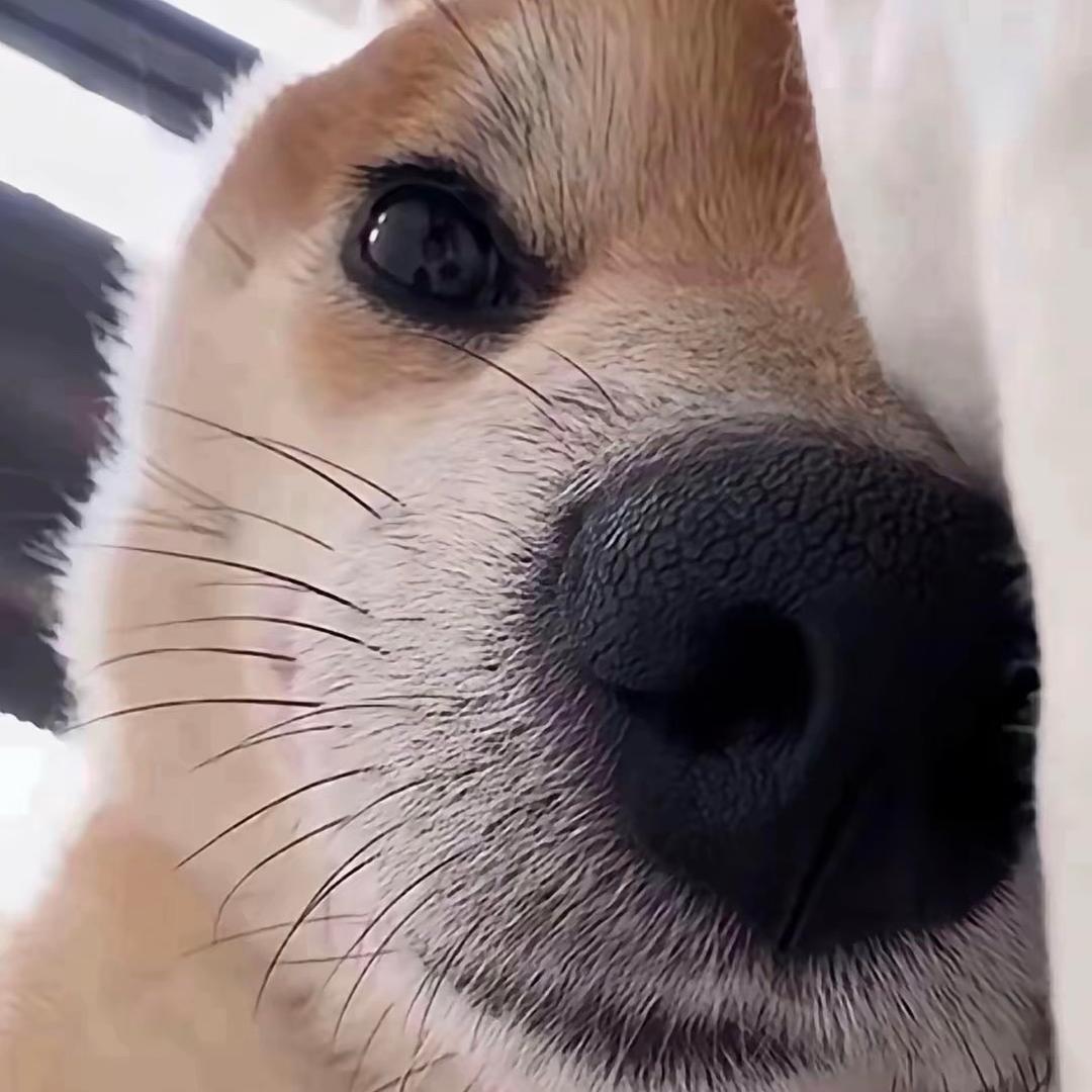 禾元