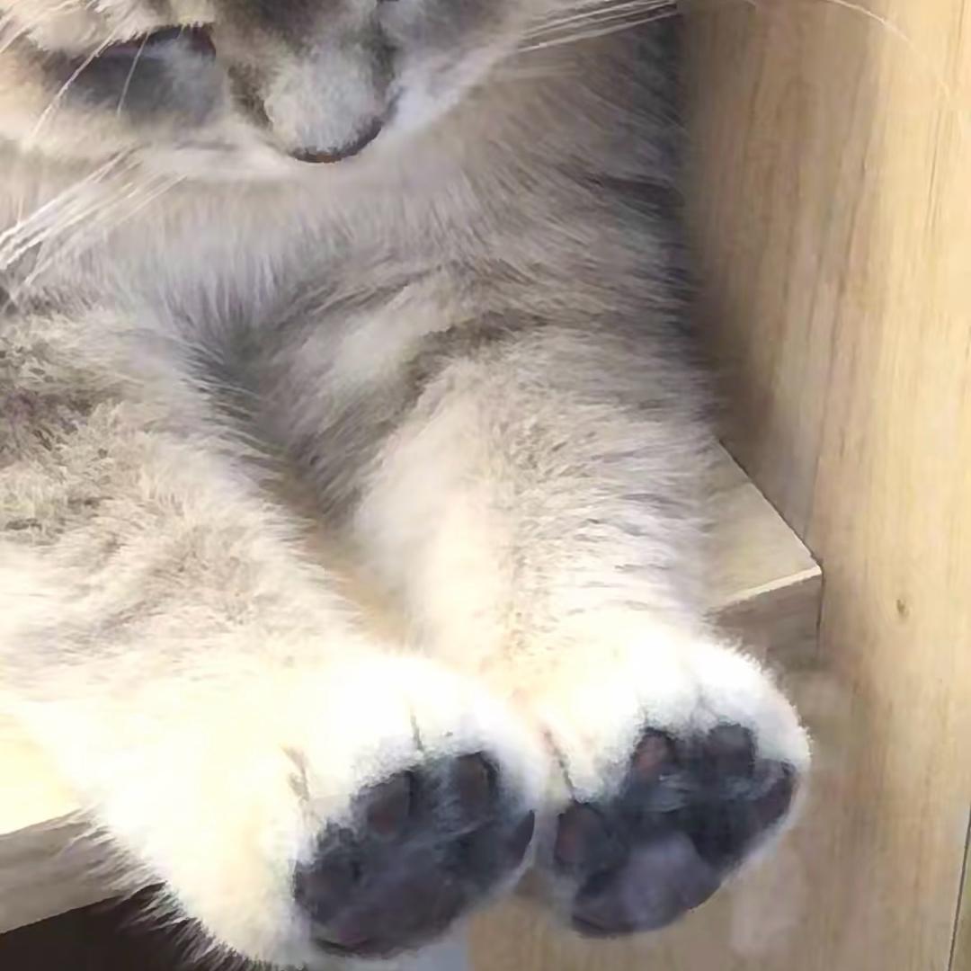 快醒醒
