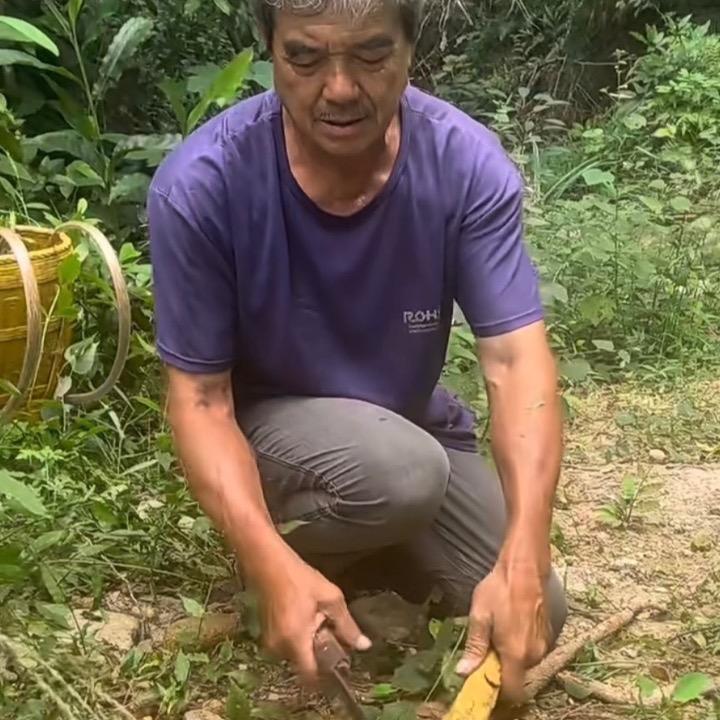 🌈化石的大叔0232