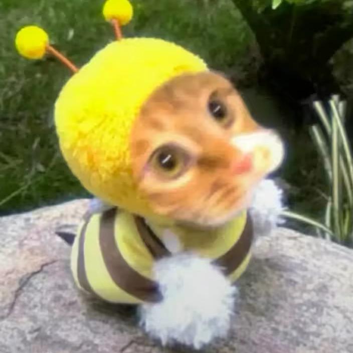 1·
