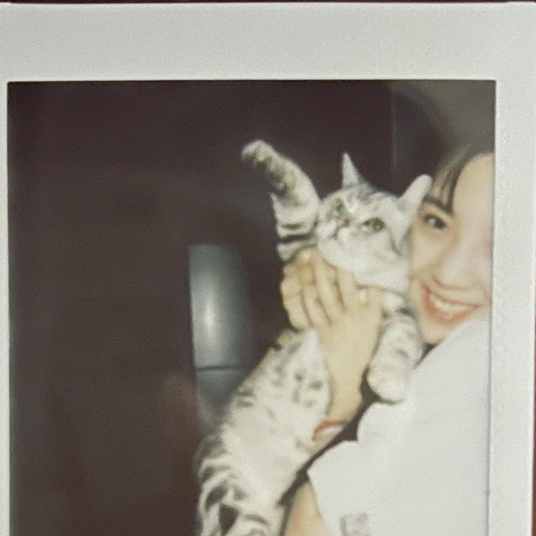 F77（金宝）@抖音