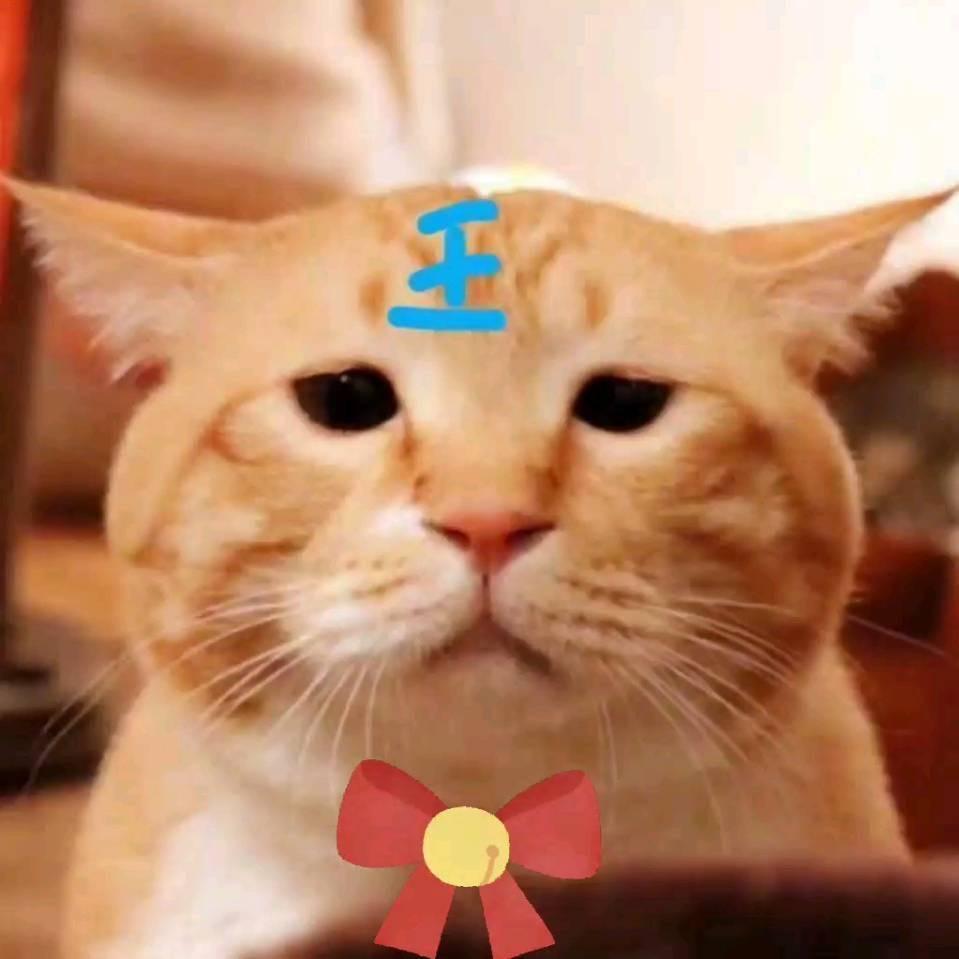 🍡花卷儿
