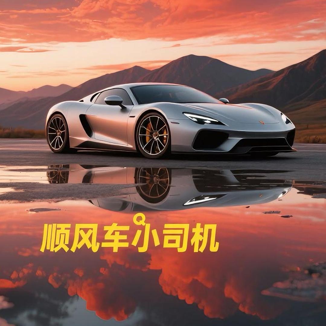 顺风车小司机