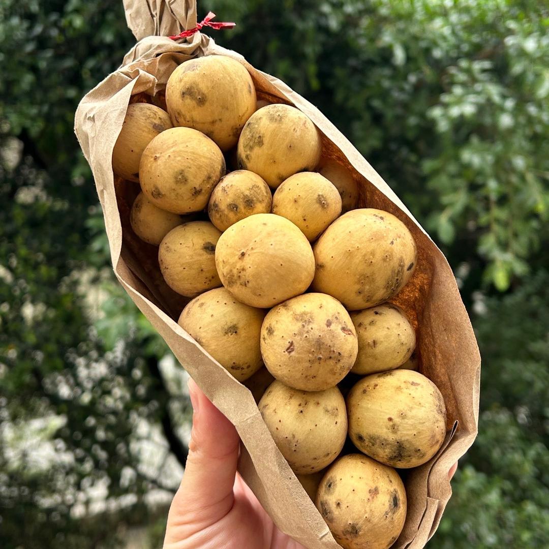 果奢汇小铺