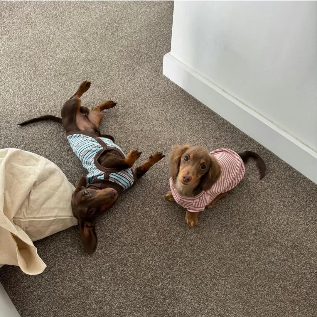 亮亮·手机2️⃣