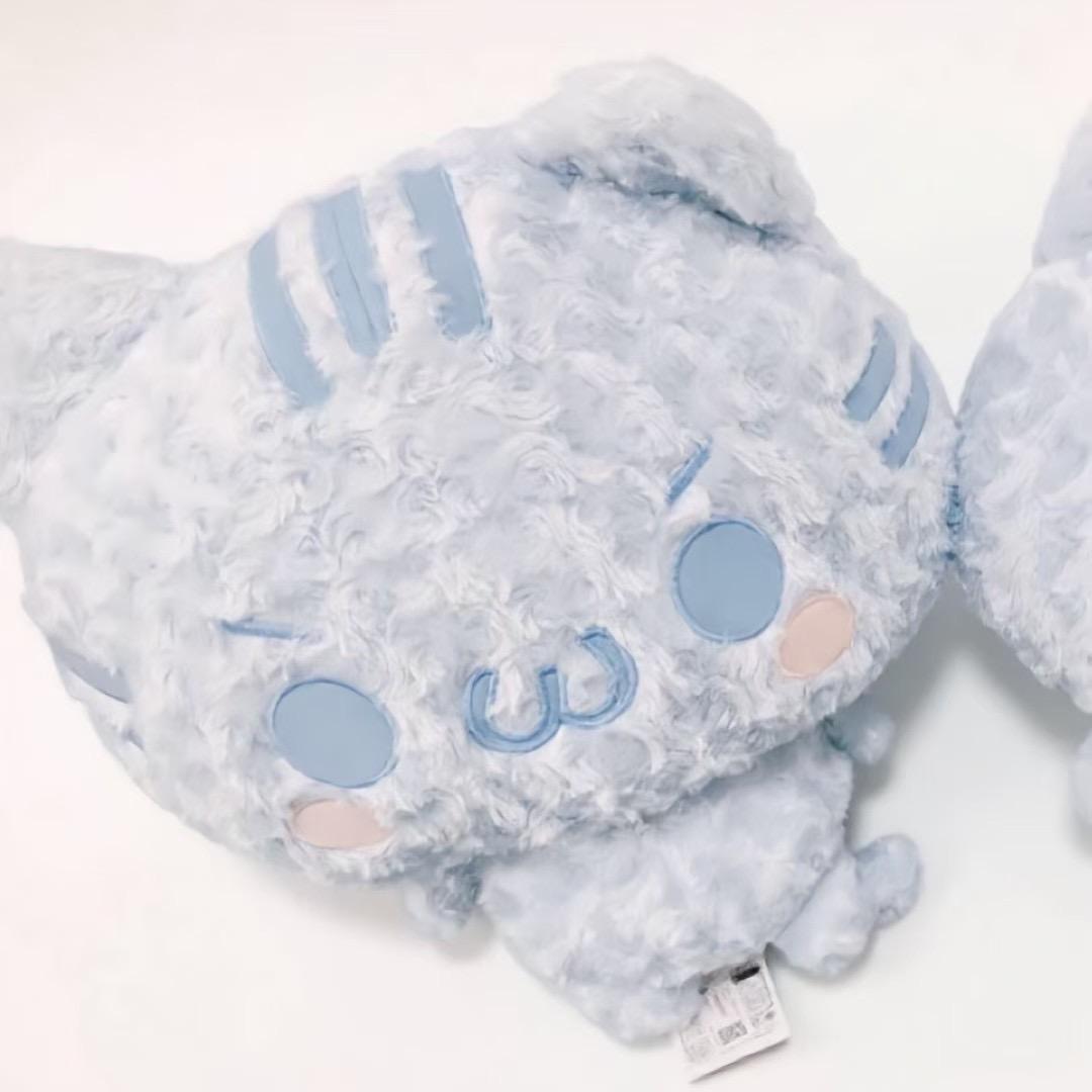 二蛋！！！