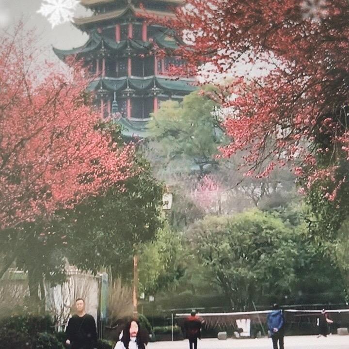 岁月如流
