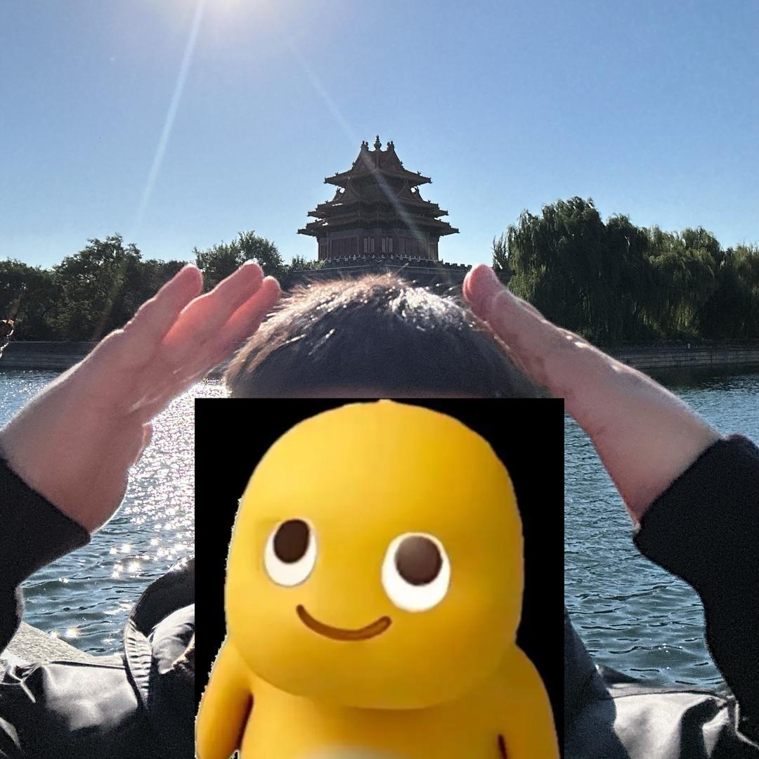 是涛涛