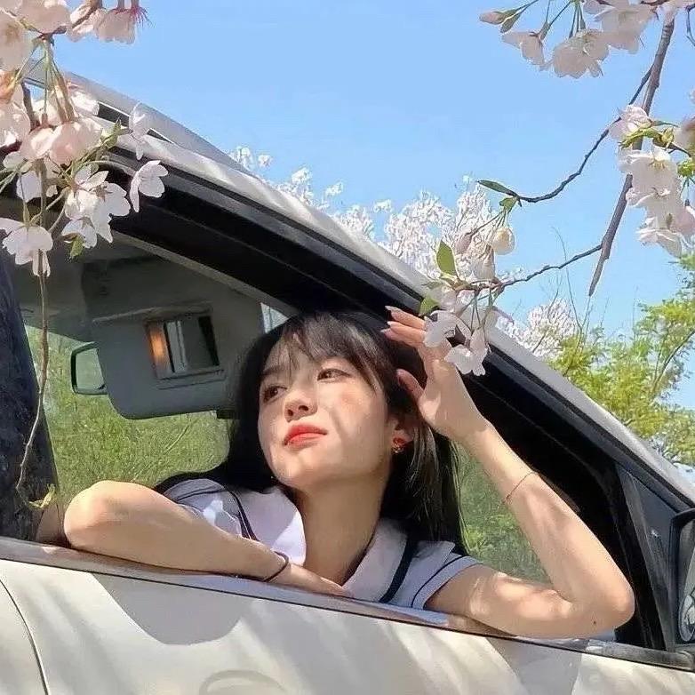 苹果猪猪灯