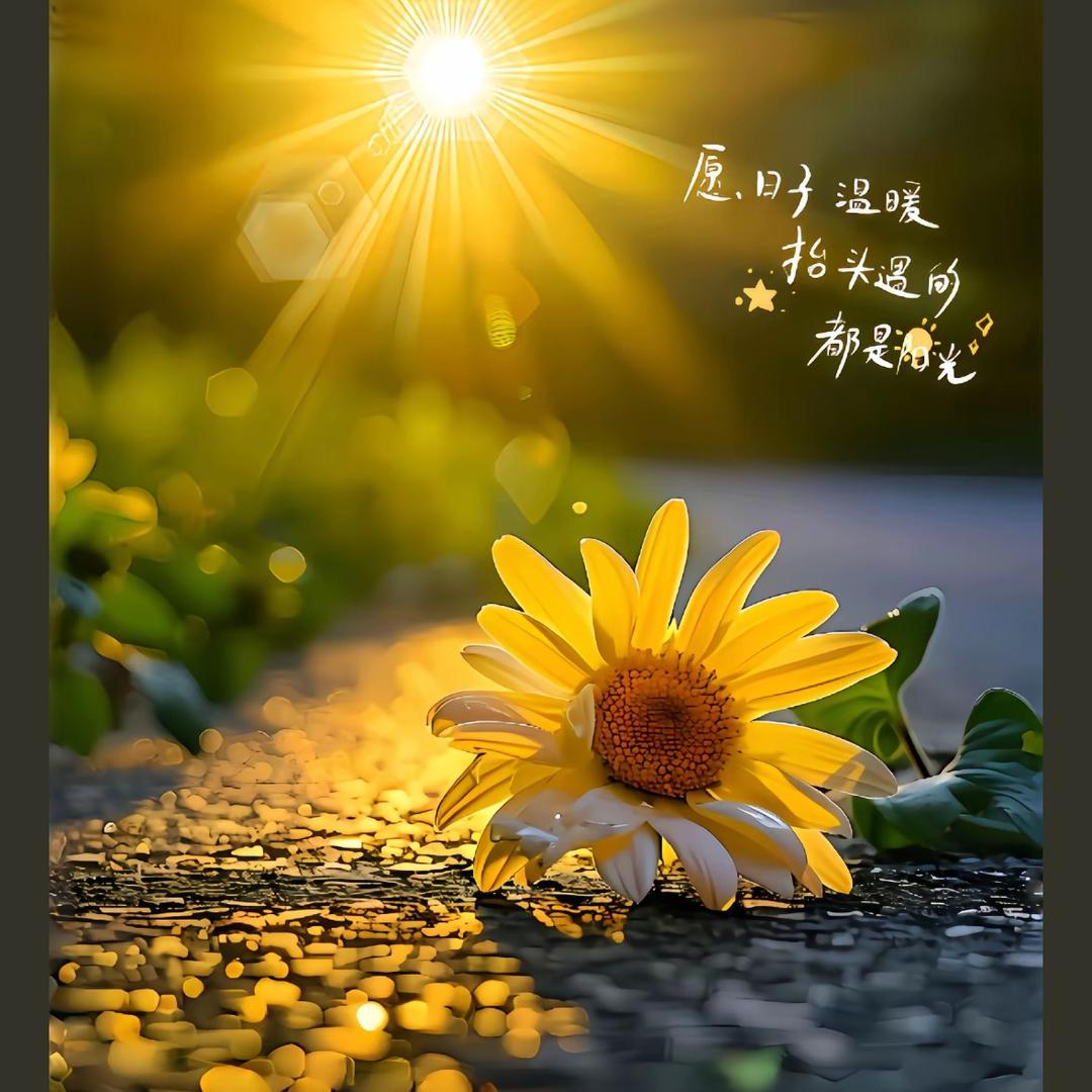 米小米