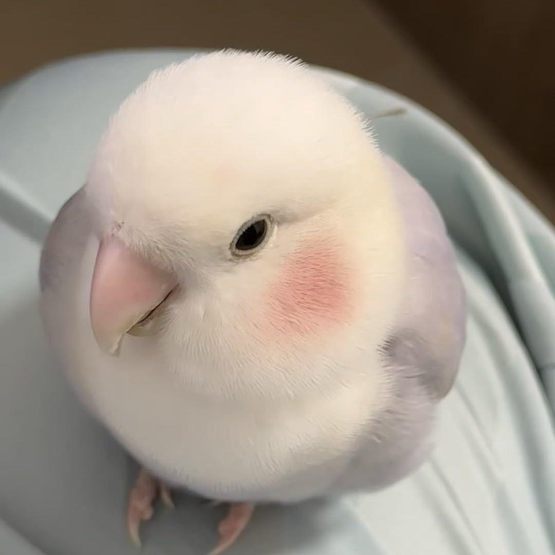 粥粥🥣