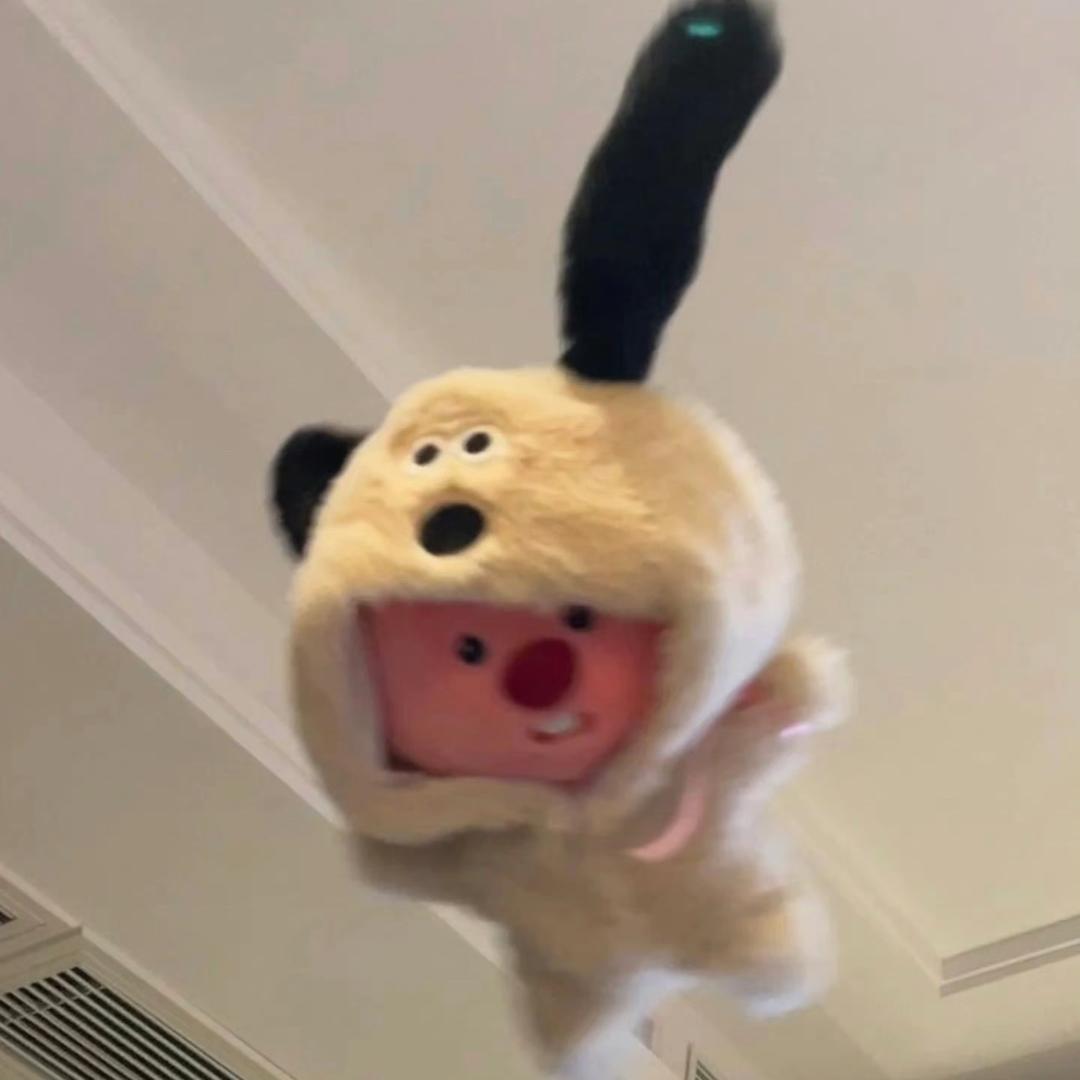 枪枪🔥（幸福版）