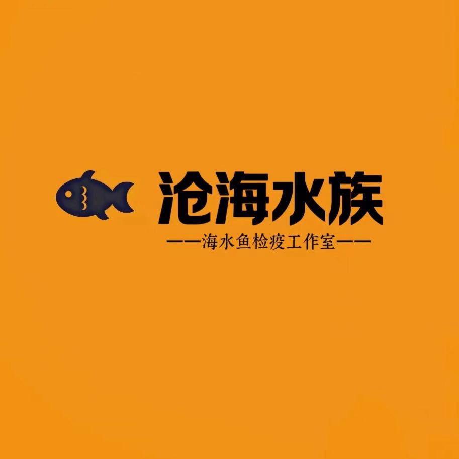 沧海水族直播3号