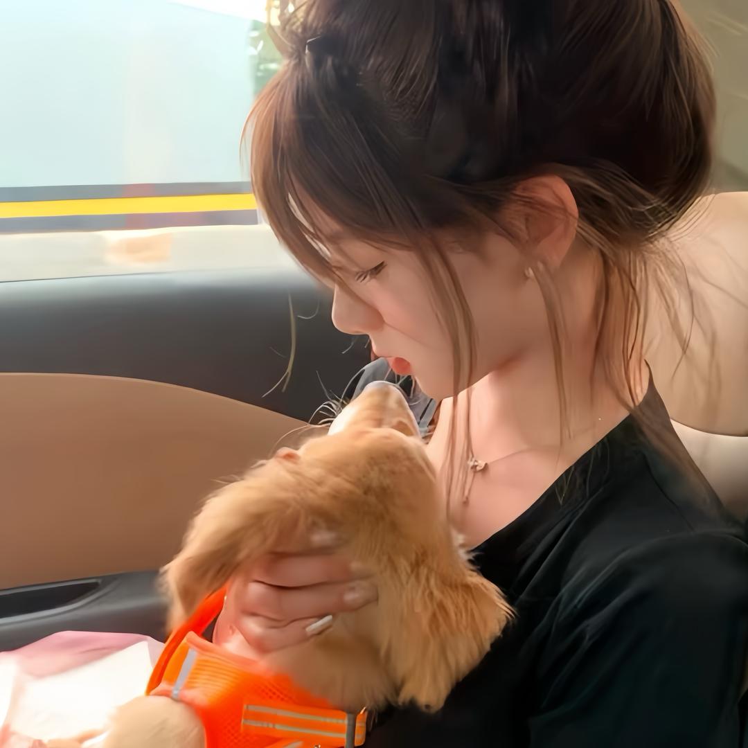 流泪猫猫酱
