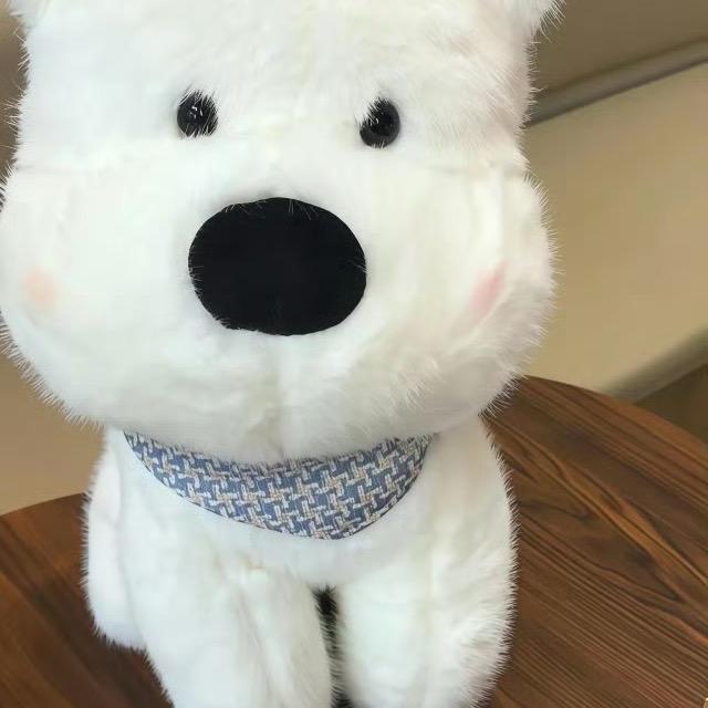 演员潘紫允