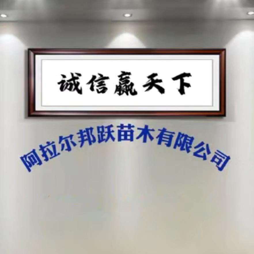 新疆阿拉尔邦跃苗木有限公司