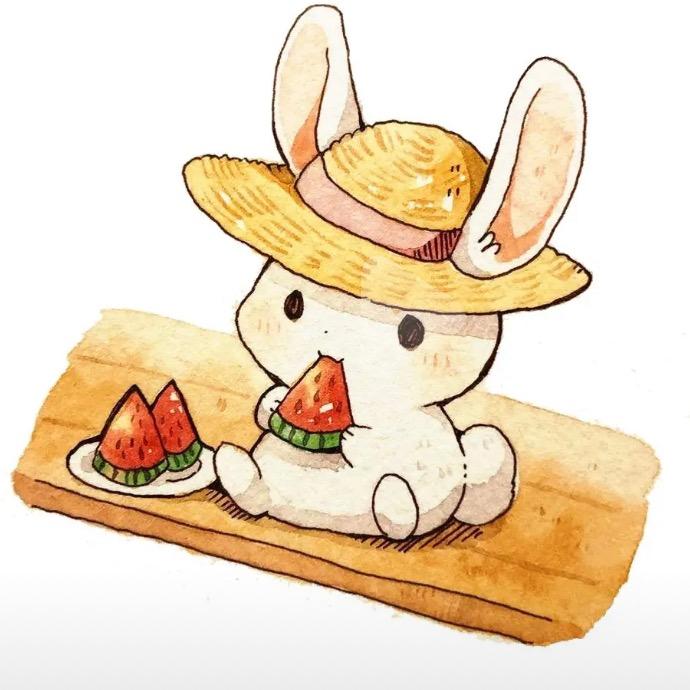 ✨✨小兔子🐰✨✨