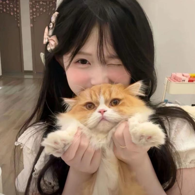笨笨熊^