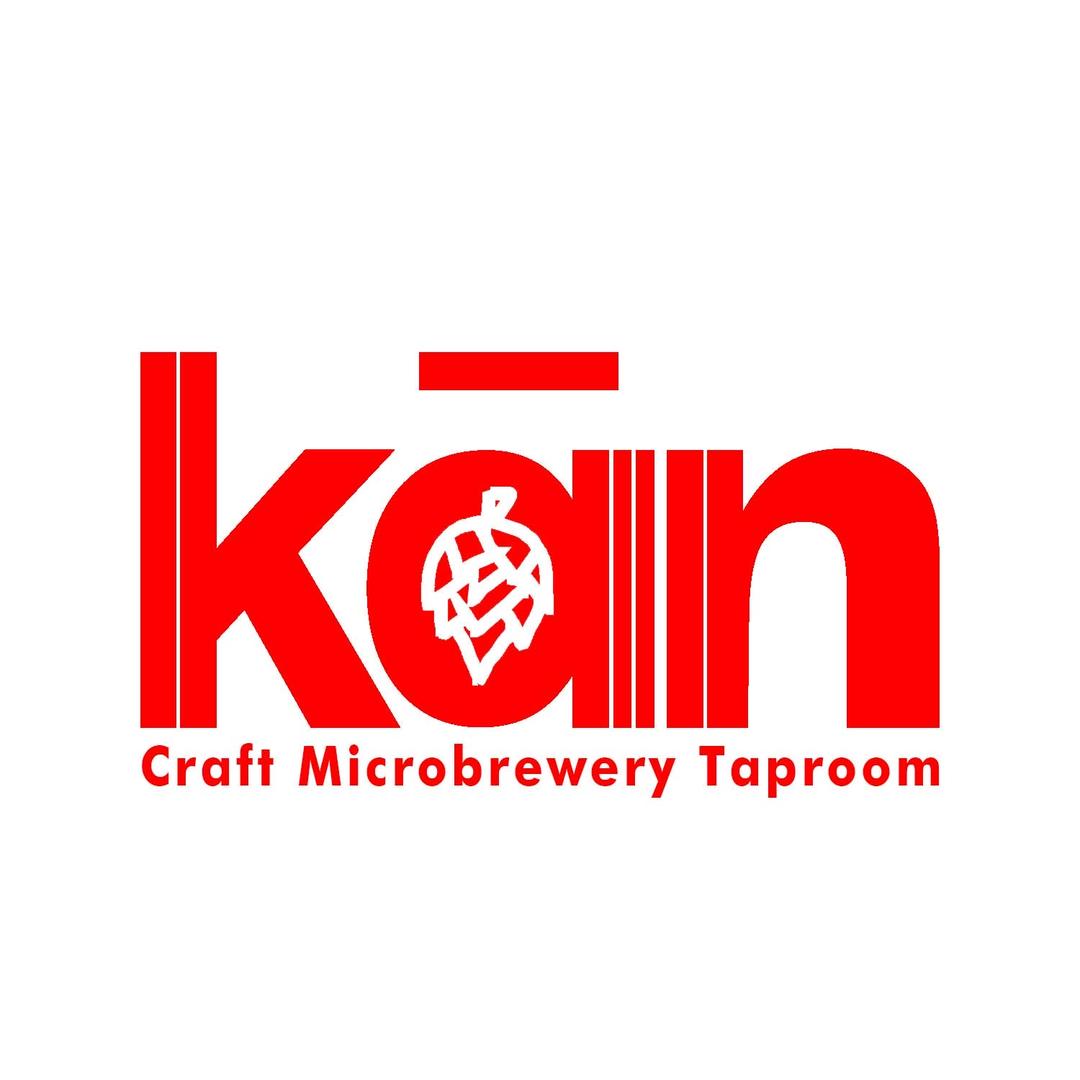 安森天上飞（创业版）