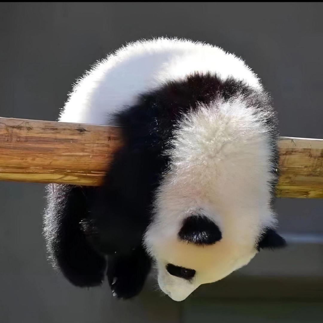 老表陶瓷精品店