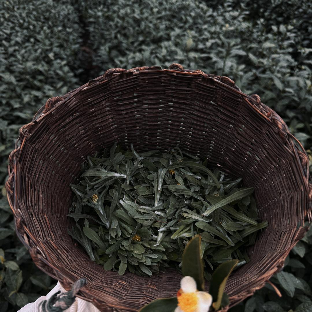 @眉山| PARDUS瑞豹运动自行车