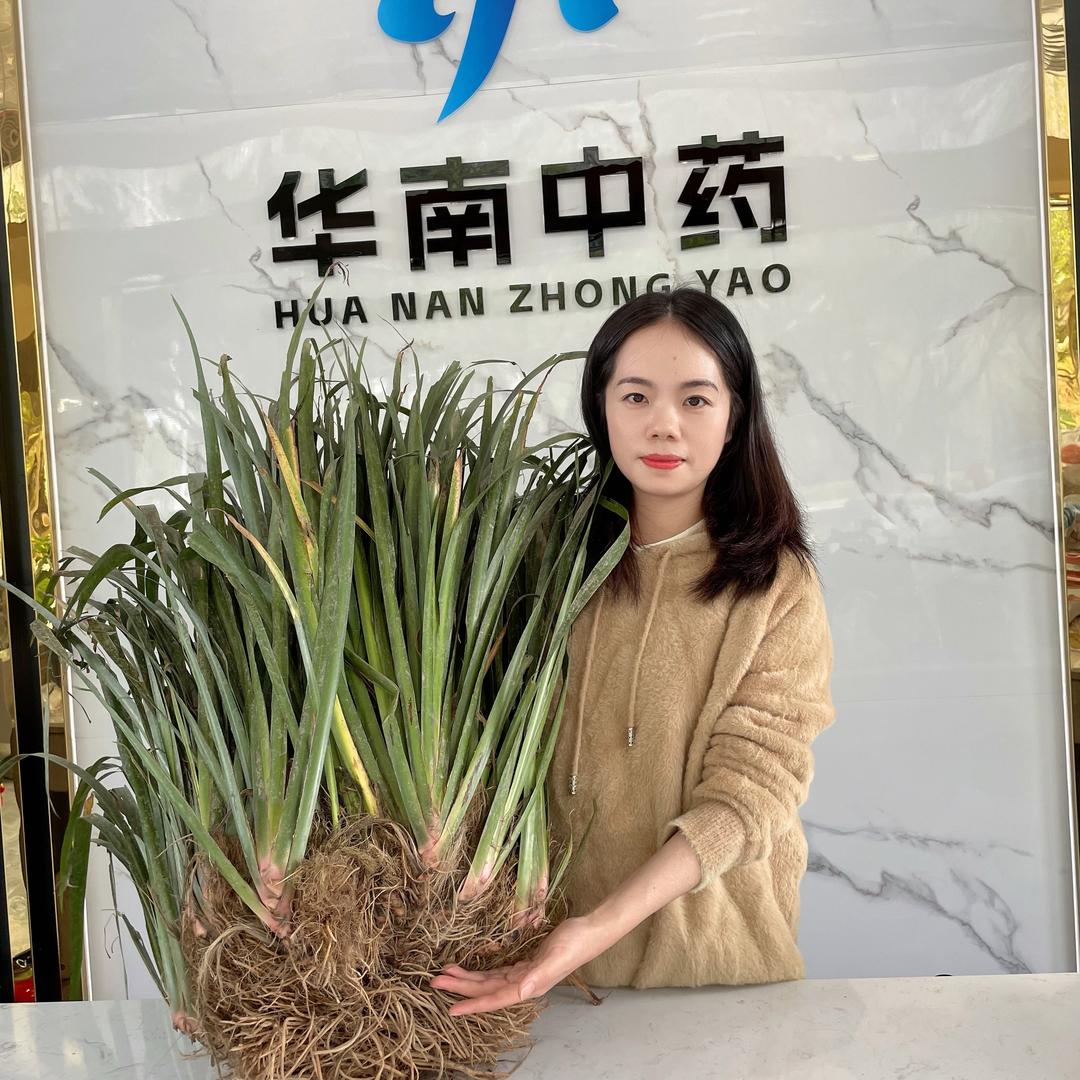 乌石-本草农业