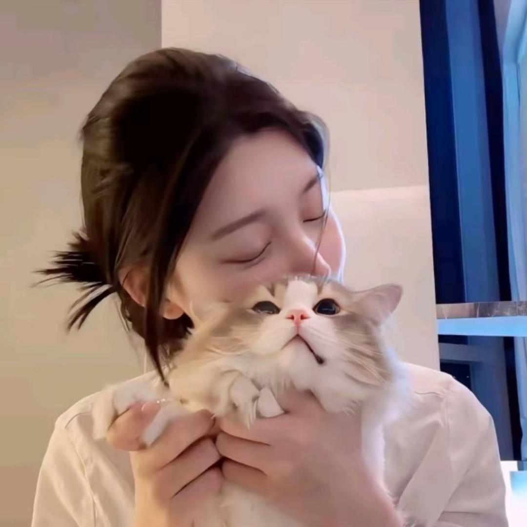 ally（直播爆款返场）