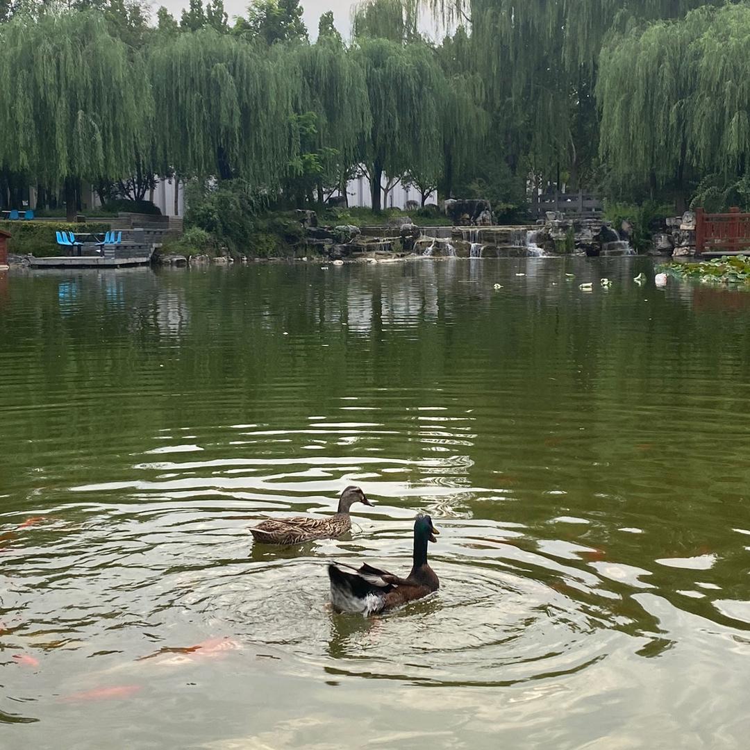 天天向上！