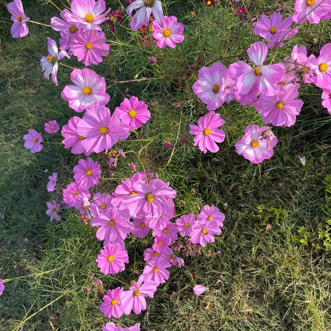 一期一会
