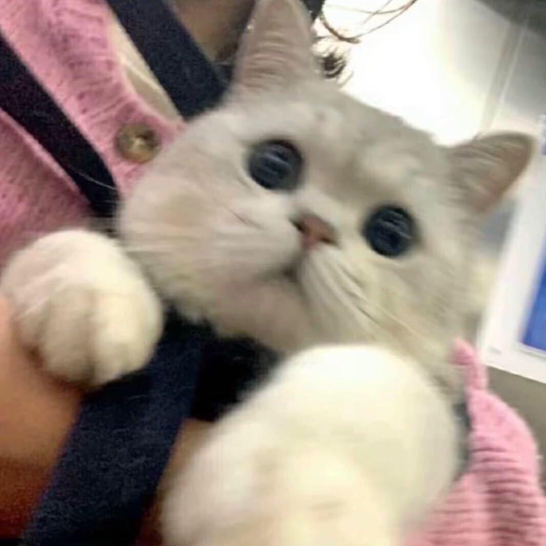 我才是最帅的