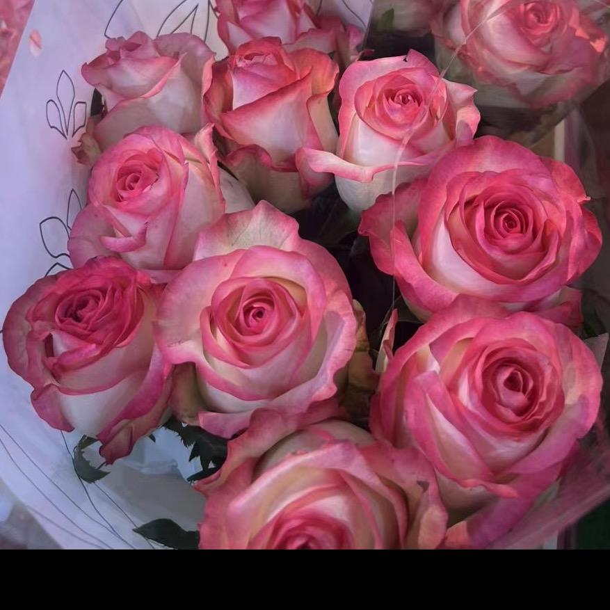 诗晗花卉