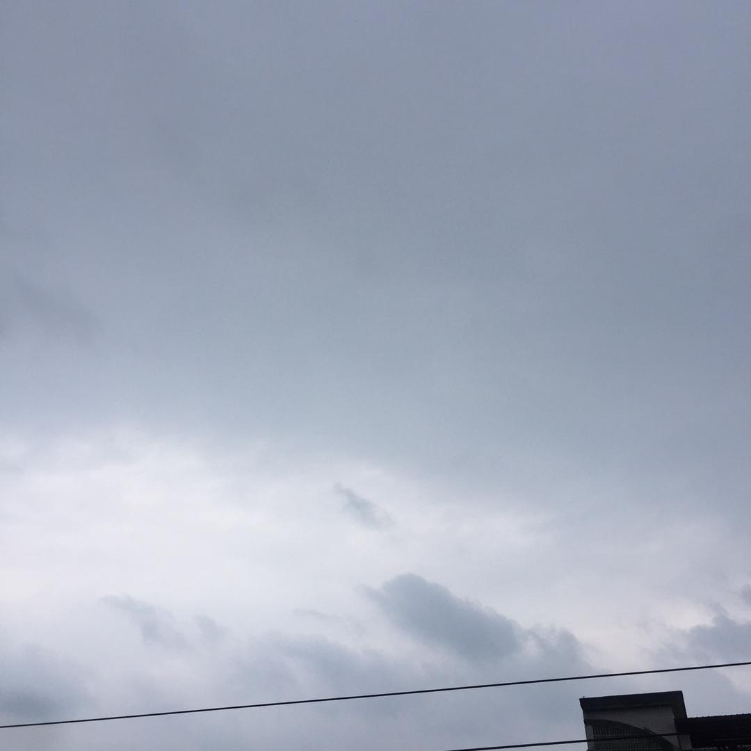 卡米油