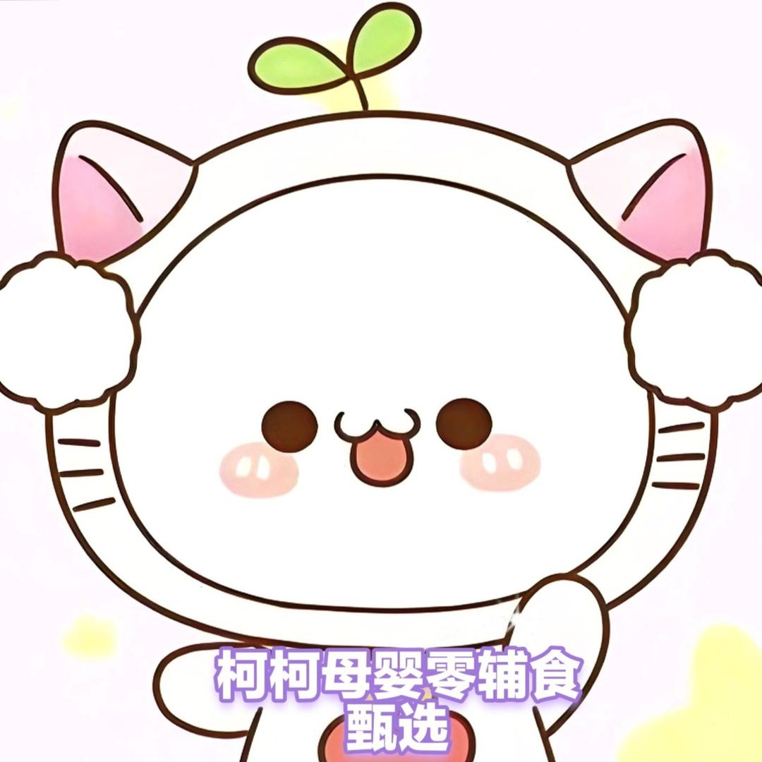 柯柯母婴零辅食甄选