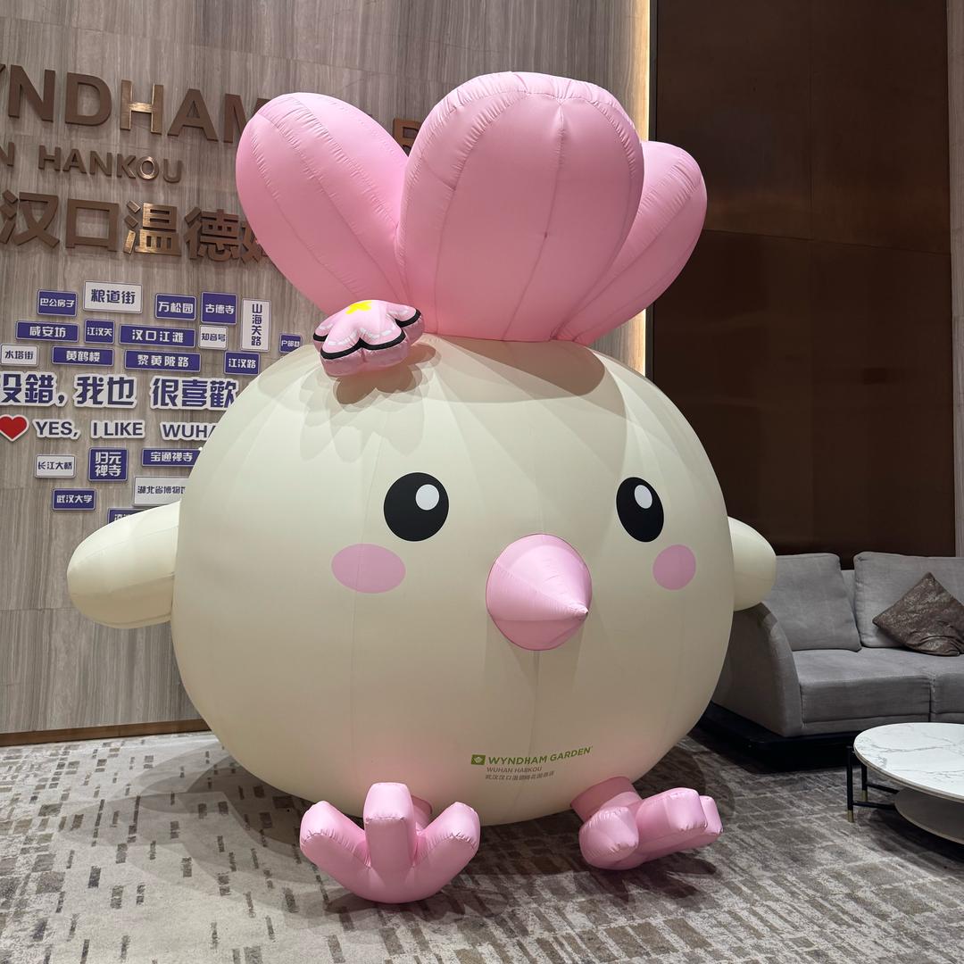 咸宁vgo小美