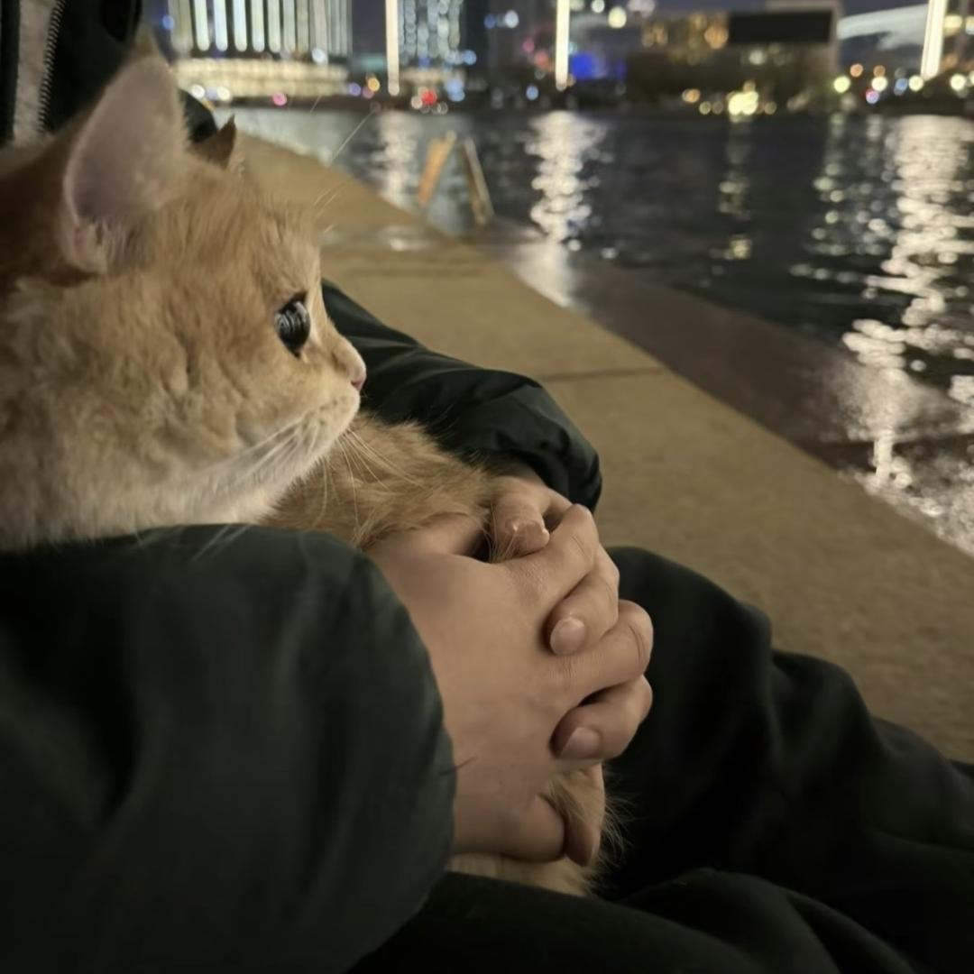 睡个好觉😴