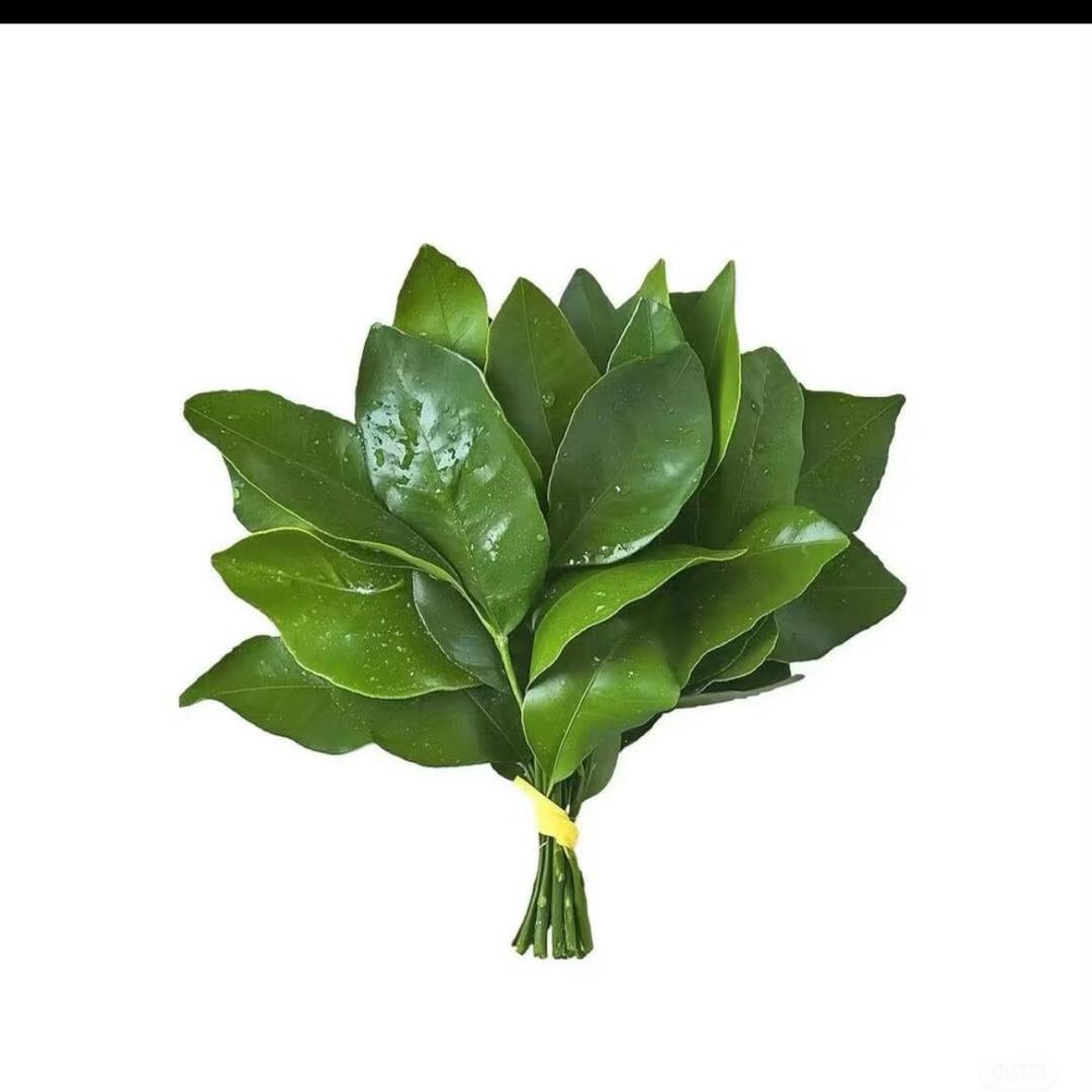 秦语💐