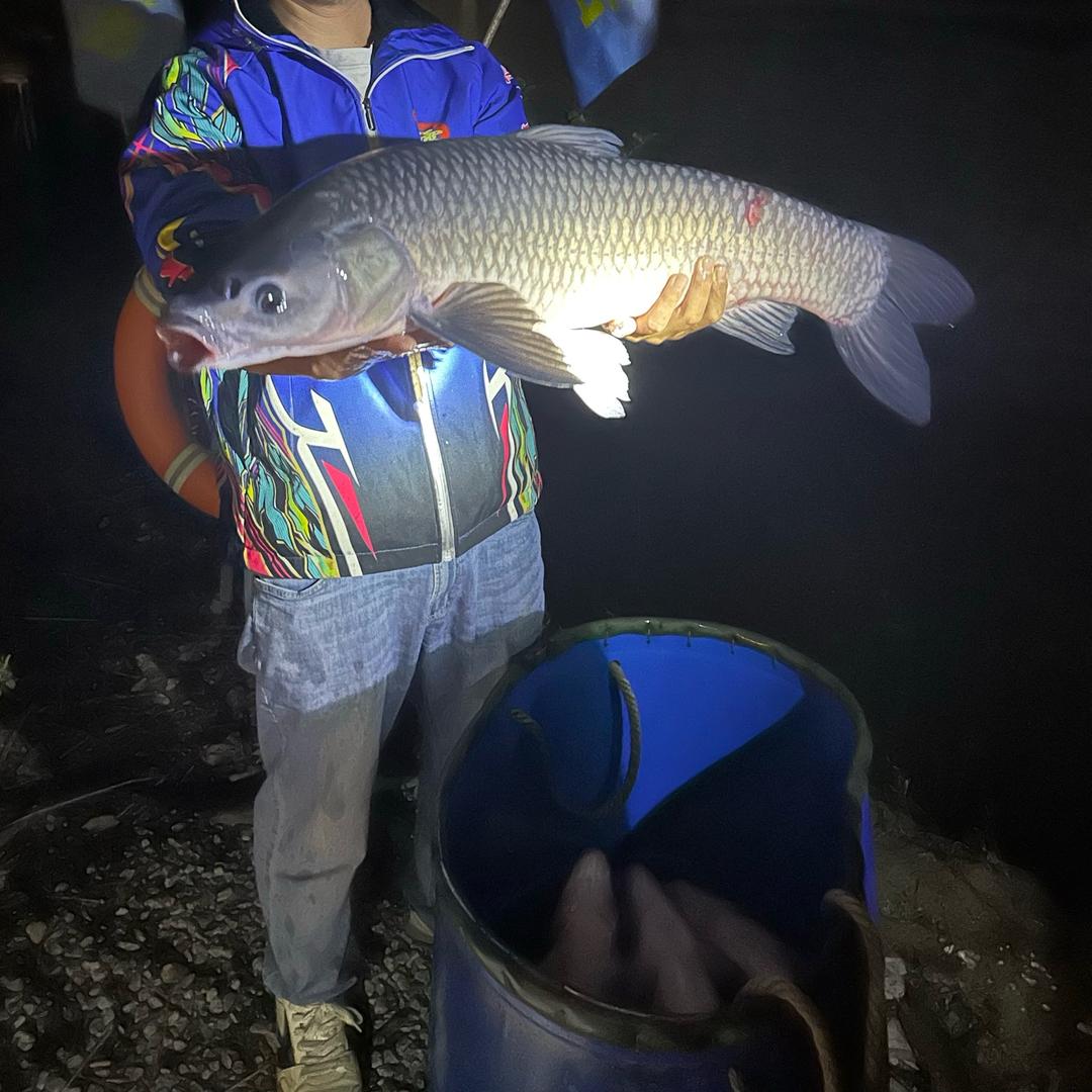 江门市【二和缘庄】休闲钓鱼场