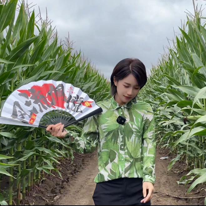 依兰玉丰种业-星仔