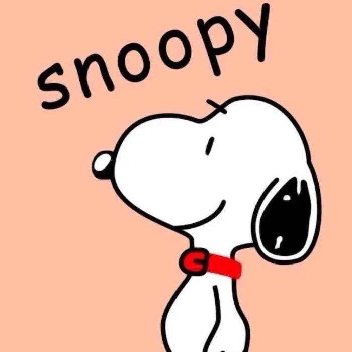 品牌童装第八年