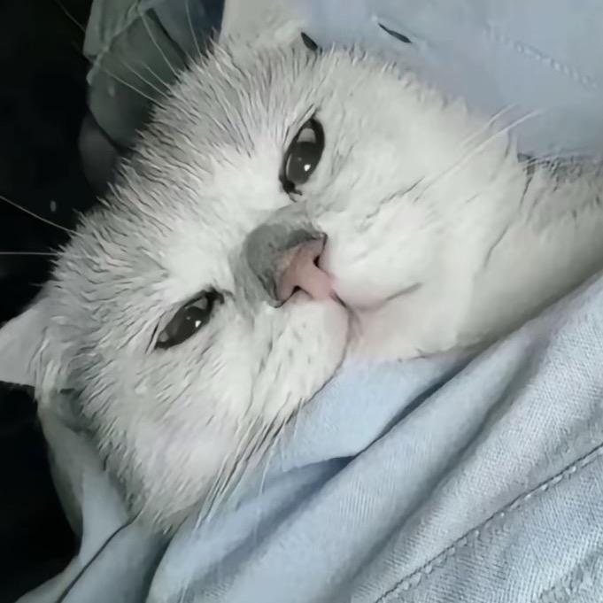 我再眯一会