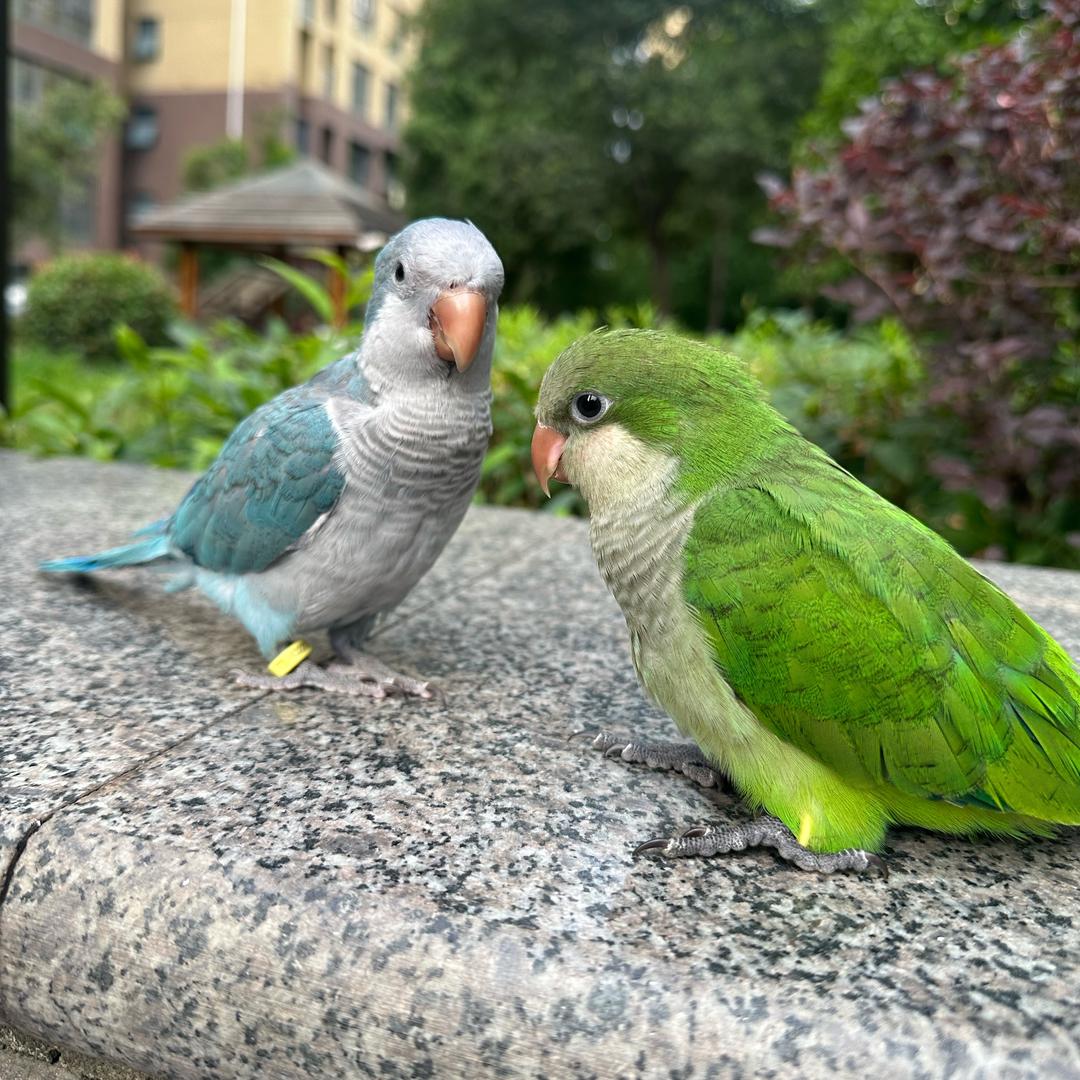 布丁&妞妞