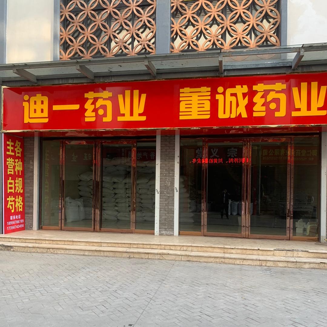 迪一药业 张迪