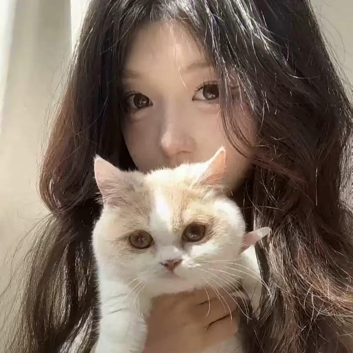 扎小丸子⁸.