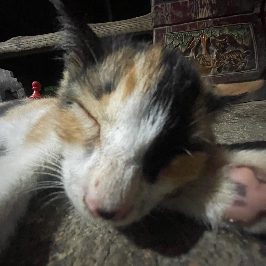 基督教协会设计的宿舍呵呵呵呵