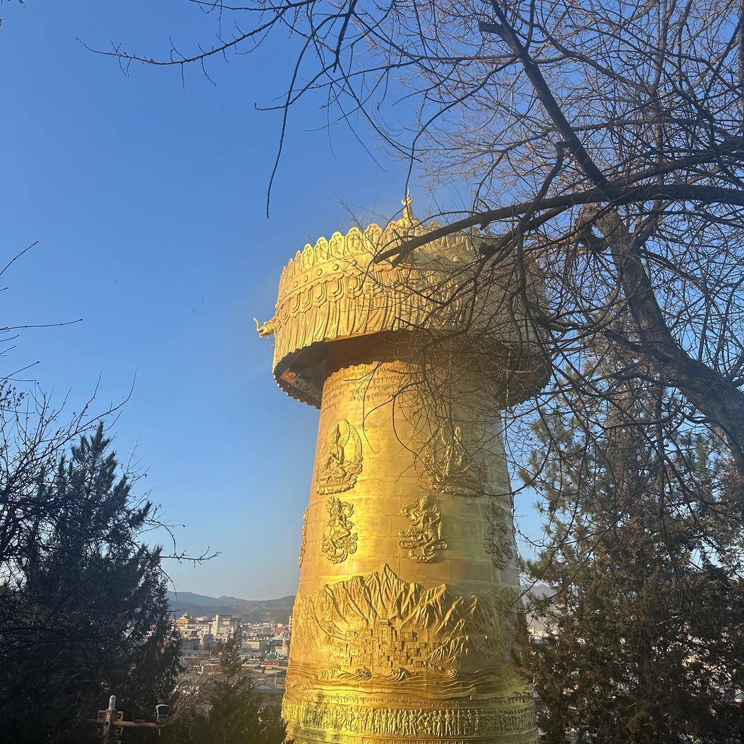 中缅泰东瓜山货王88